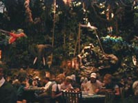 Rainforest Cafe