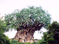 The Tree of Life