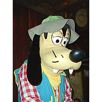 We met the Goofy