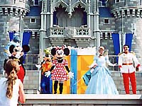 Cinderella's Surprise Celebration