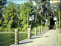 Disney's Wilderness Lodge 桟橋